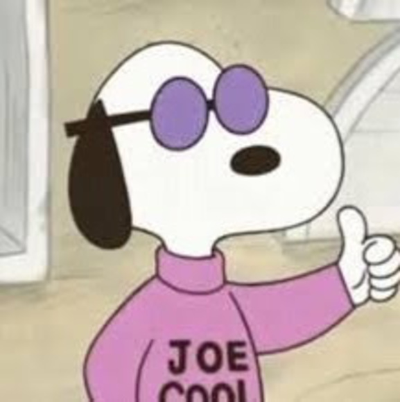 Meet your Posher, Aeneas - Picture 1 of 1